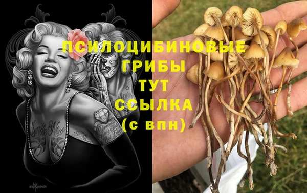 кристаллы Верея