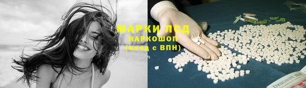 PSILOCYBIN Кулебаки