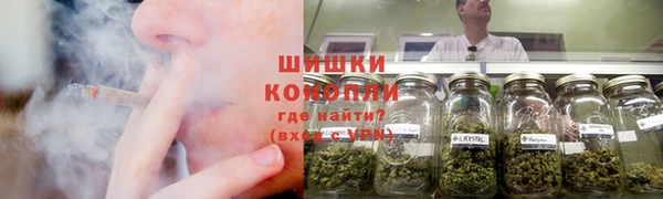 PSILOCYBIN Кулебаки