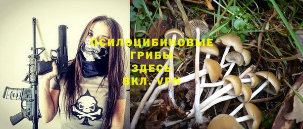 apvp Куйбышев