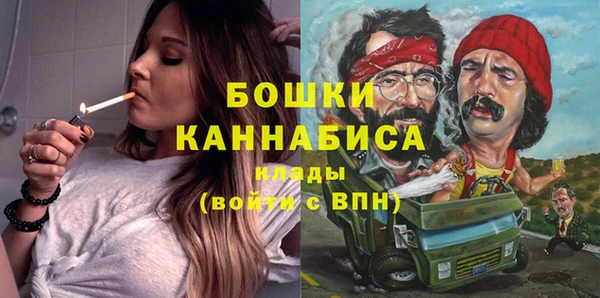 PSILOCYBIN Кулебаки