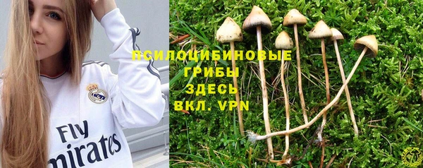 PSILOCYBIN Кулебаки